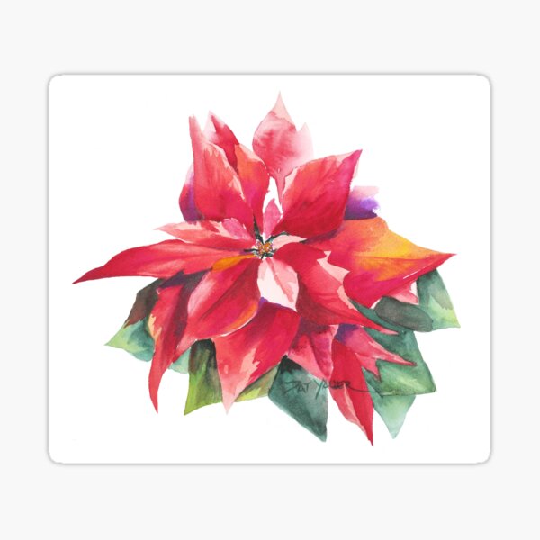 Bright Red Poinsettia Sticker