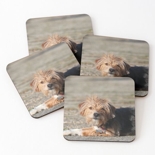 Item preview, Wait... designed and sold by GreyFeatherPhot.