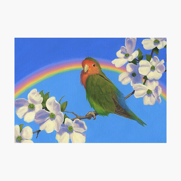 Peach Faced Rainbow - Lovebird - Art by Greg Hildebrandt Photographic Print