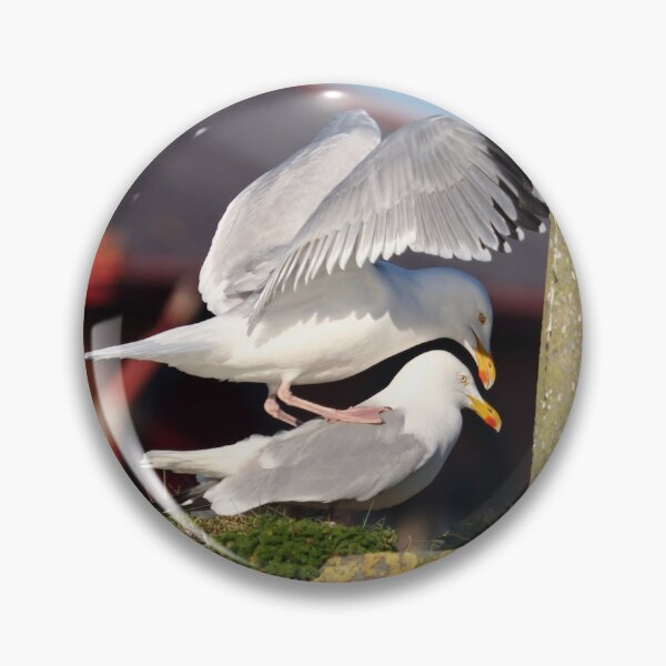 Item preview, Mating herring gulls designed and sold by GreyFeatherPhot.