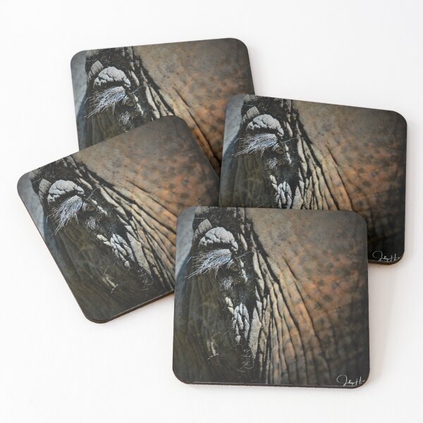 Item preview, Eye of the Elephant - Wildlife Photography designed and sold by John Hodges.