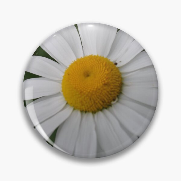 Item preview, The perfect Daisy designed and sold by Tamara McDonnell.