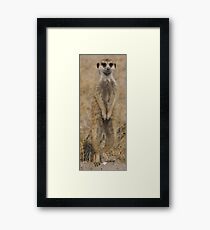 Meercat under Review Framed Print