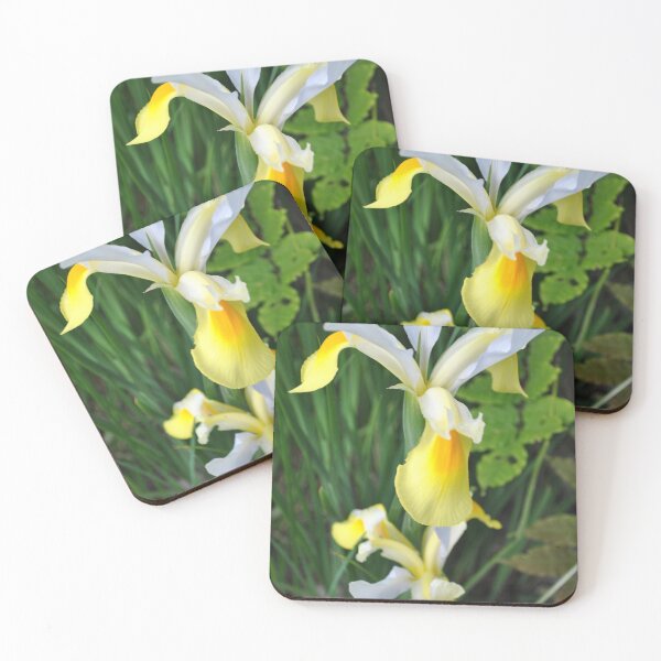 Item preview, Dutch Iris designed and sold by Tamara McDonnell.