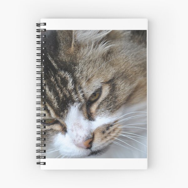 Item preview, Here Kitty Kitty designed and sold by Tamara McDonnell.