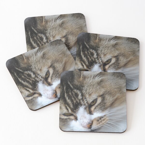 Item preview, Here Kitty Kitty designed and sold by Tamara McDonnell.
