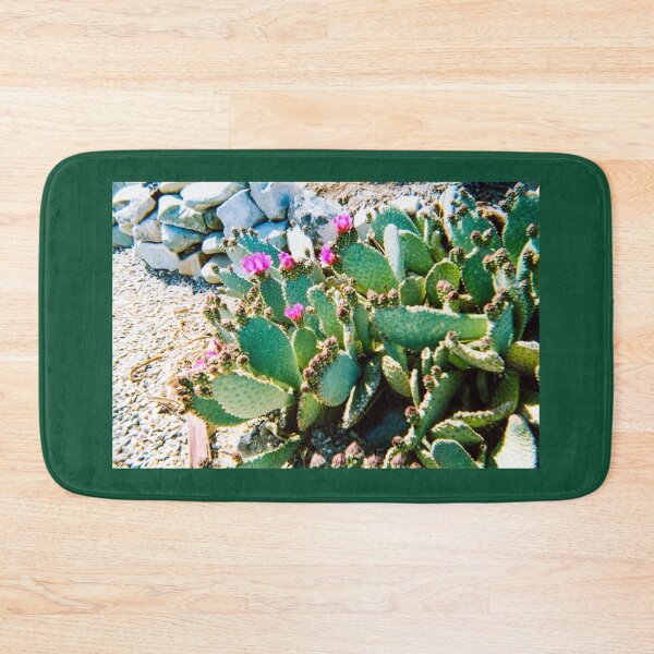 Item preview, Arizona cactus color photograph designed and sold by Shininglight14.
