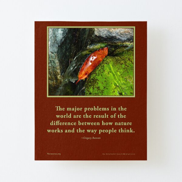 How Nature Works - G. Bateson quote Novasutras Canvas Mounted Print