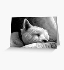 Dog Tired Greeting Card