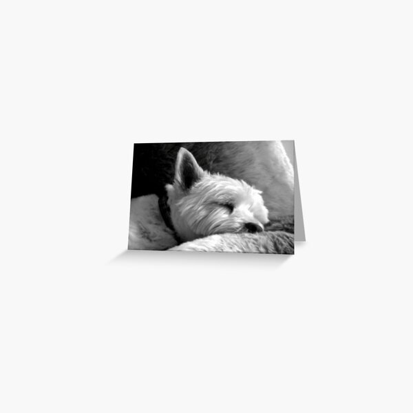 Dog Tired Greeting Card
