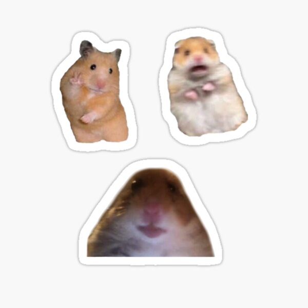 Hamster memes Sticker