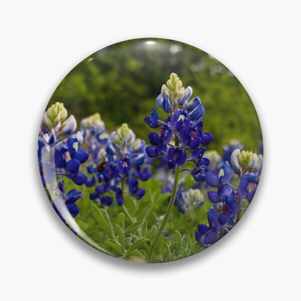 Item preview, Texas Bluebonnets designed and sold by jonesing.