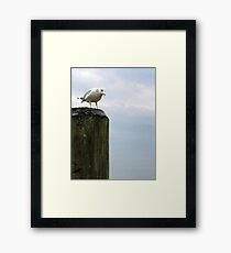 A New York Attitude Framed Print