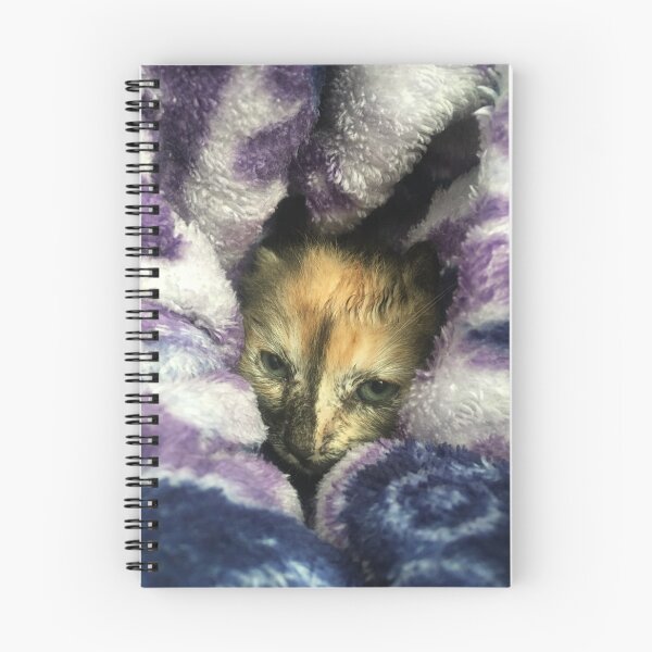 Item preview, Cozy Kitten designed and sold by 2ZANY.