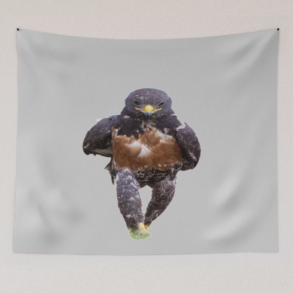 Item preview, Strongest Bird in the World - Jacked Animals Working Out designed and sold by oggi0.