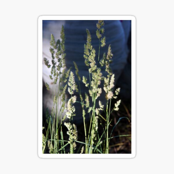 Item preview, Grass seed  designed and sold by MagpieSprings.