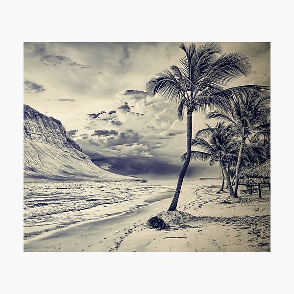 Item preview, Black And White Palm Tree By The Beach designed and sold by Turkdesigner.