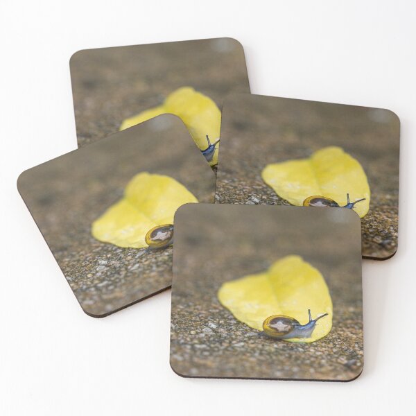 Item preview, Tiny Snail Goes Exploring designed and sold by Donna  Seen.