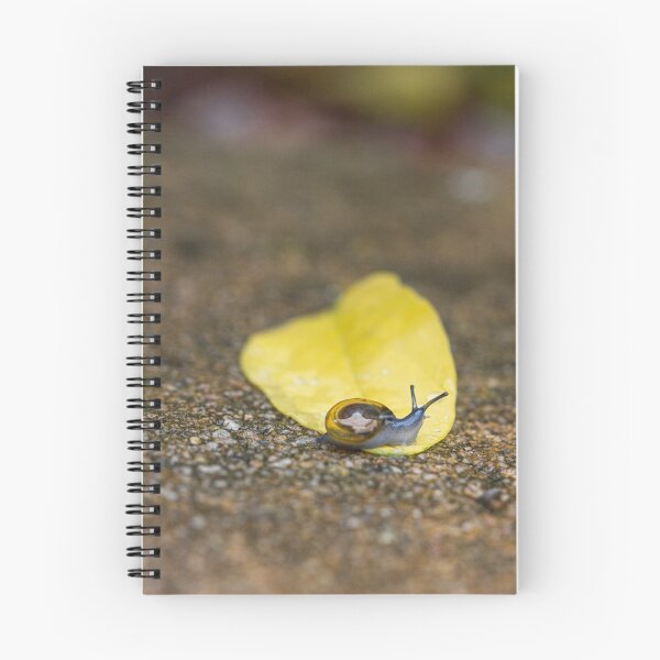 Item preview, Tiny Snail Goes Exploring designed and sold by Donna  Seen.