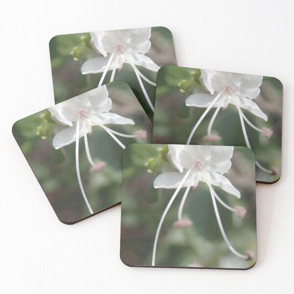 Item preview, White Flower designed and sold by Mathilde GT.