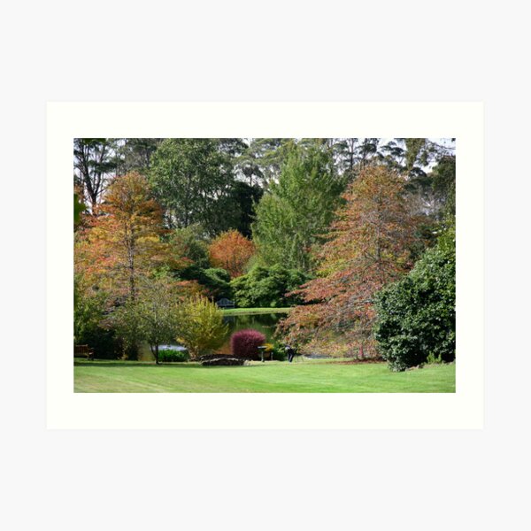 BISLEY GARDENS, MOUNT WILSON, NSW. Art Print
