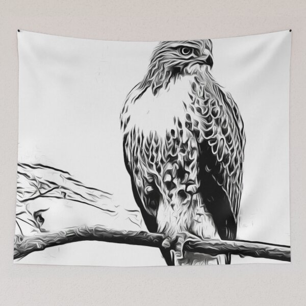 Item preview, Sketch of a Hawk designed and sold by Alyxandre.