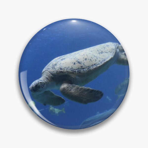 Item preview, Sea Turtle at Georgia Aquarium designed and sold by Zoo and Nature Photography by Karie.