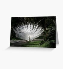 White Greeting Card