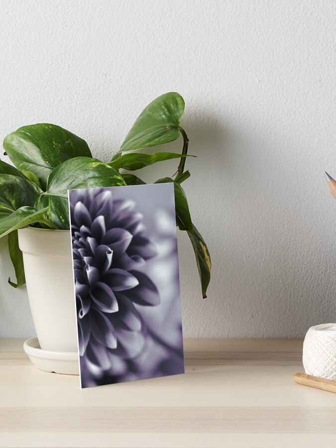Thumbnail 1 of 2, Art Board Print, Dramatic Petals designed and sold by DonnaMariePhoto.