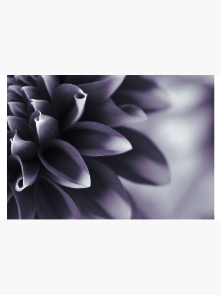 Thumbnail 2 of 2, Laptop Sleeve, Dramatic Petals designed and sold by DonnaMariePhoto.