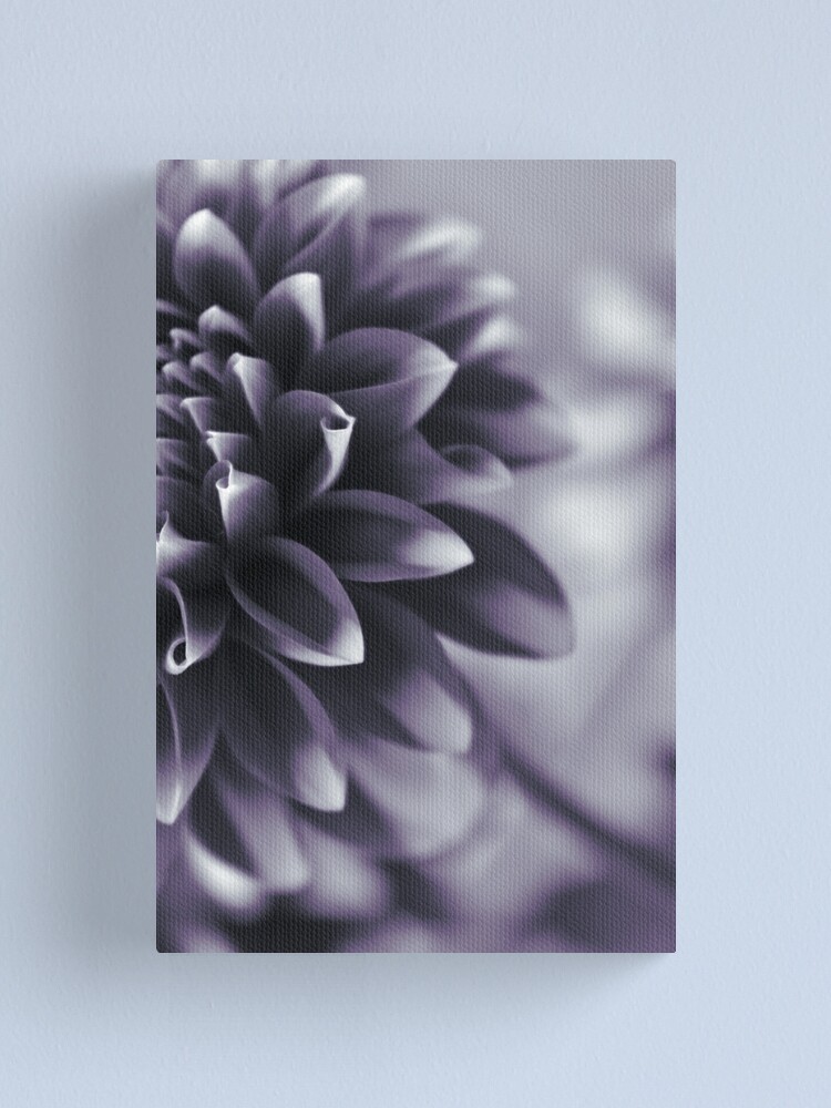 Thumbnail 1 of 3, Canvas Print, Dramatic Petals designed and sold by DonnaMariePhoto.