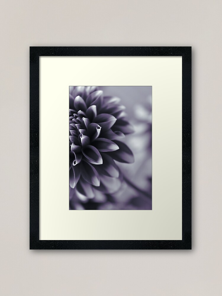 Thumbnail 1 of 7, Framed Art Print, Dramatic Petals designed and sold by DonnaMariePhoto.