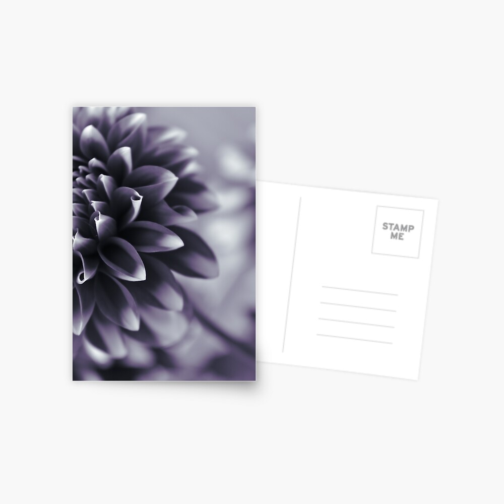 Item preview, Postcard designed and sold by DonnaMariePhoto.