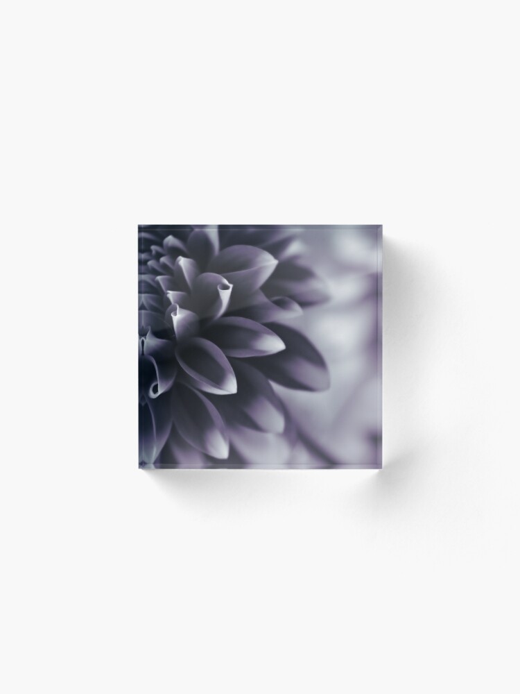 Thumbnail 2 of 5, Acrylic Block, Dramatic Petals designed and sold by DonnaMariePhoto.