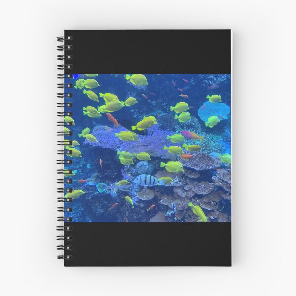 Item preview, Coral Reef Exhibit at Georgia Aquarium designed and sold by Zoo and Nature Photography by Karie.
