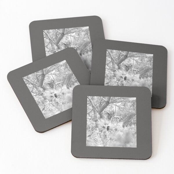 Item preview, Owl Family black and white designed and sold by WillSaad.