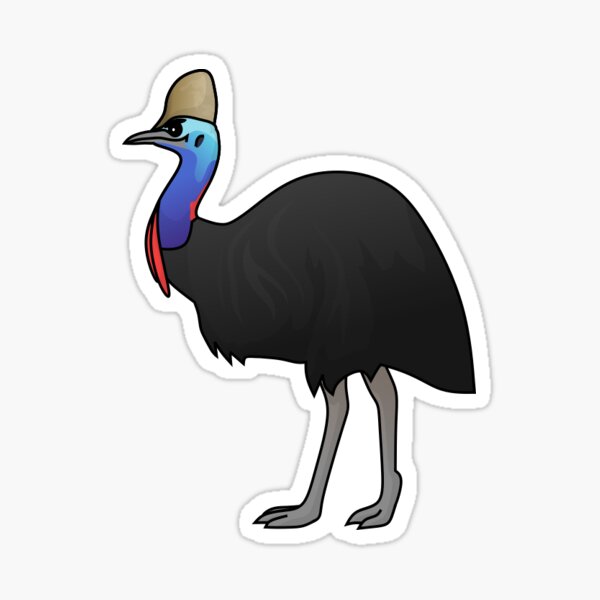 Wattled Gifts Merchandise Redbubble - feather family cassowary roblox