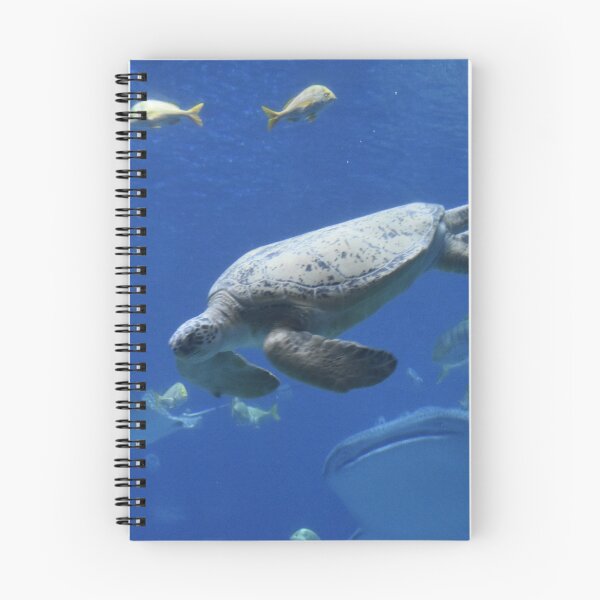 Item preview, Sea Turtle at Georgia Aquarium designed and sold by Zoo and Nature Photography by Karie.
