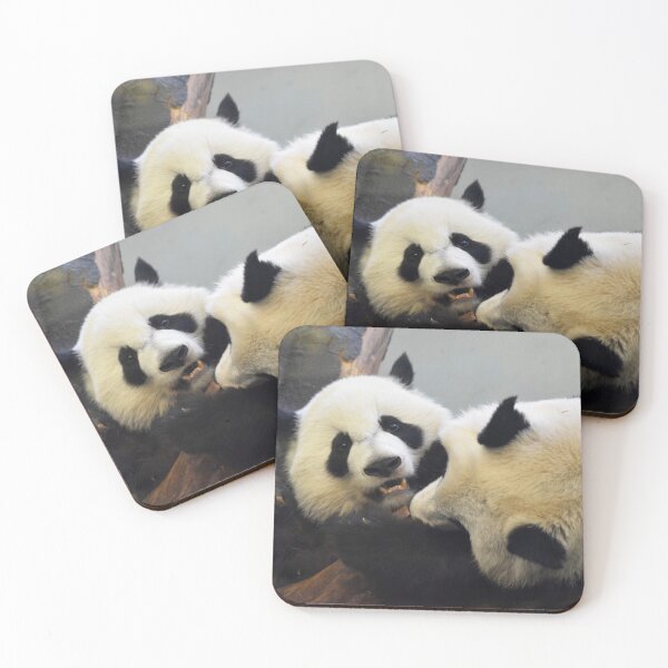 Aperçu de l'œuvre Pandas géants Ya Lun et Xi Lun au Zoo d'Atlanta créée et vendue par Zoo and Nature Photography by Karie.