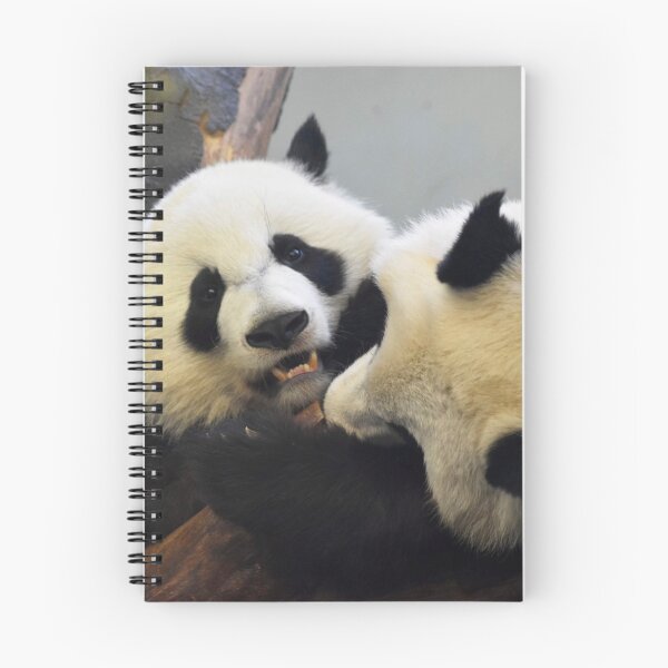 Item preview, Giant Pandas Ya Lun and Xi Lun at Zoo Atlanta designed and sold by Zoo and Nature Photography by Karie.
