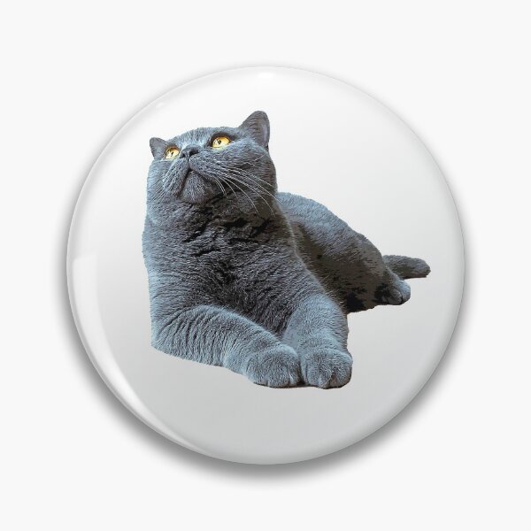 Item preview, British Shorthair Cat - Blue with Orange eyes designed and sold by ElegantCat.