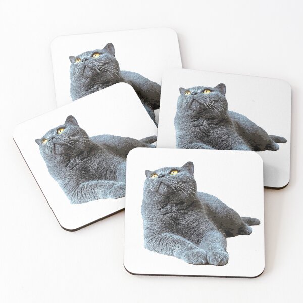 Item preview, British Shorthair Cat - Blue with Orange eyes designed and sold by ElegantCat.
