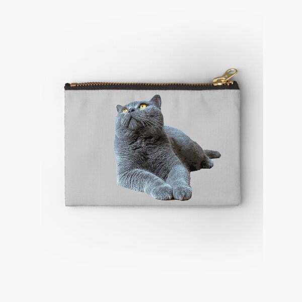 Item preview, British Shorthair Cat - Blue with Orange eyes designed and sold by ElegantCat.