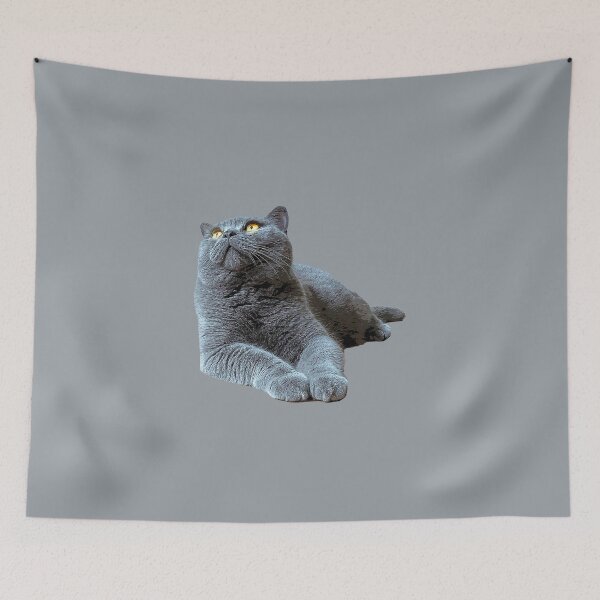 Item preview, British Shorthair Cat - Blue with Orange eyes designed and sold by ElegantCat.