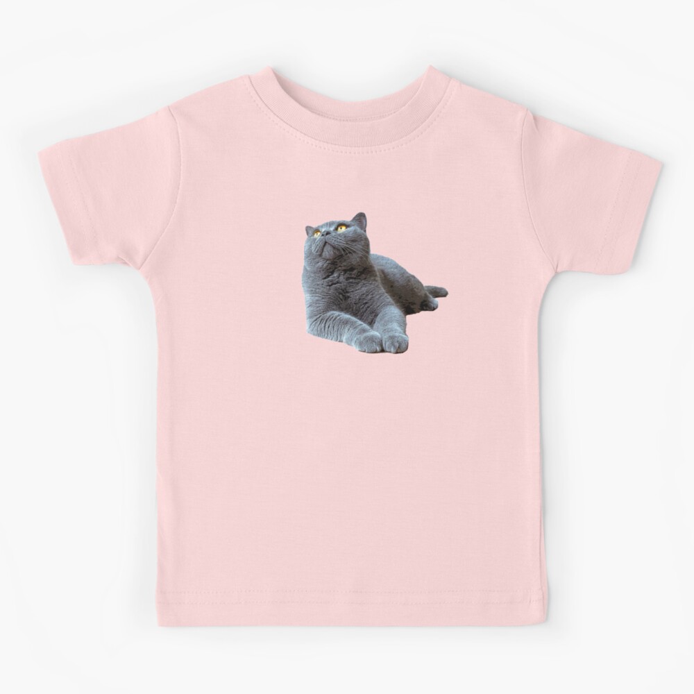 british shorthair t shirt