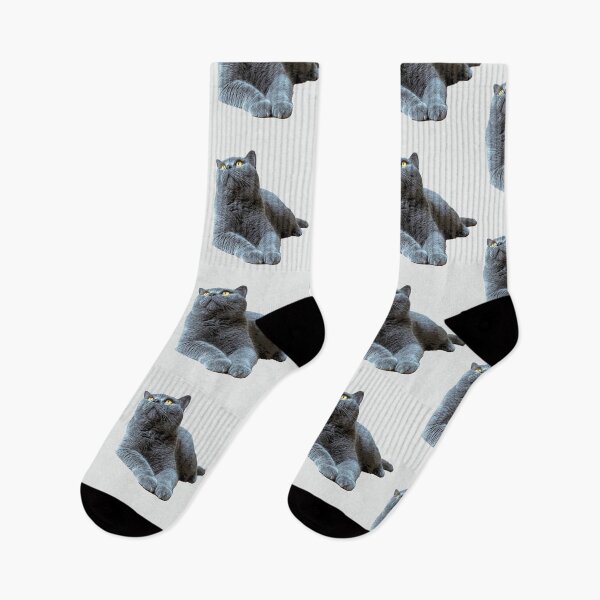 Item preview, British Shorthair Cat - Blue with Orange eyes designed and sold by ElegantCat.