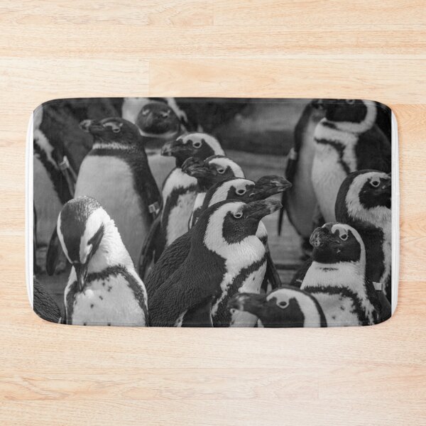 Item preview, African Penguins at the Maryland Zoo designed and sold by Zoo and Nature Photography by Karie.