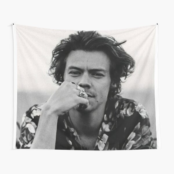 Kembalinya Harry / The come Back Harry Tapestry