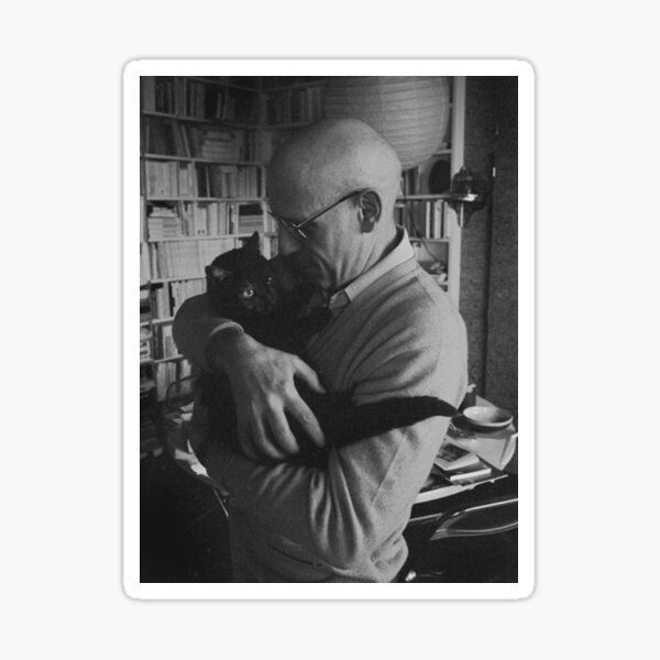 Foucault and a cat Sticker