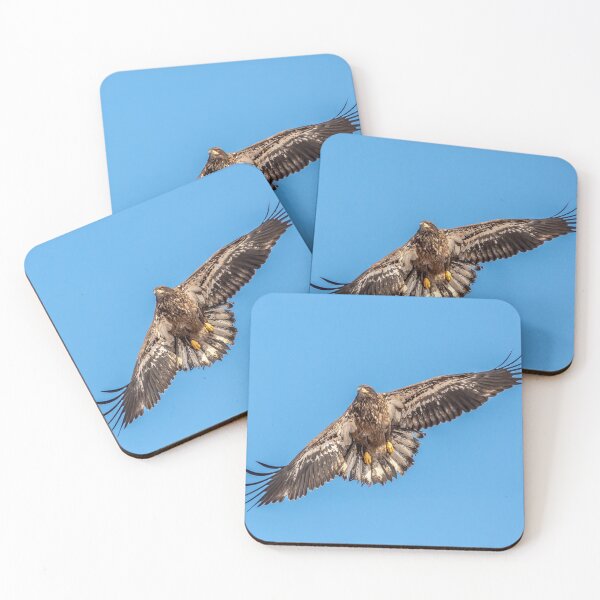 Item preview, Juvenile bald eagle In flight designed and sold by KennyBImages899.